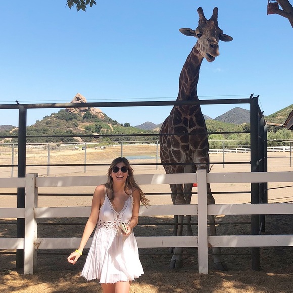 FREE PEOPLE White Lace Slip Dress - Picture 5 of 6